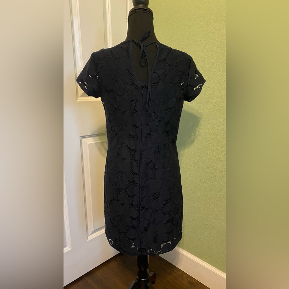 LOFT Navy Lace Mini Dress - Picture 4 of 9